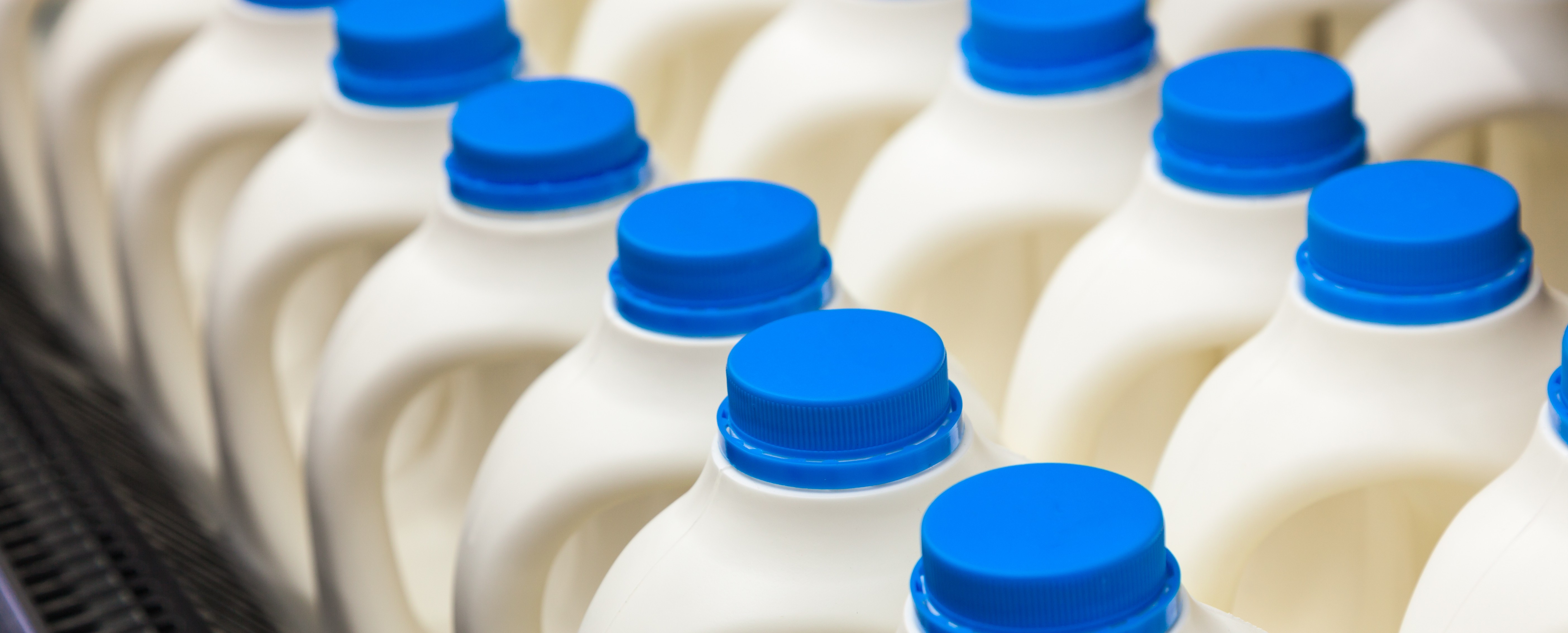 Blow Molded milk jugs