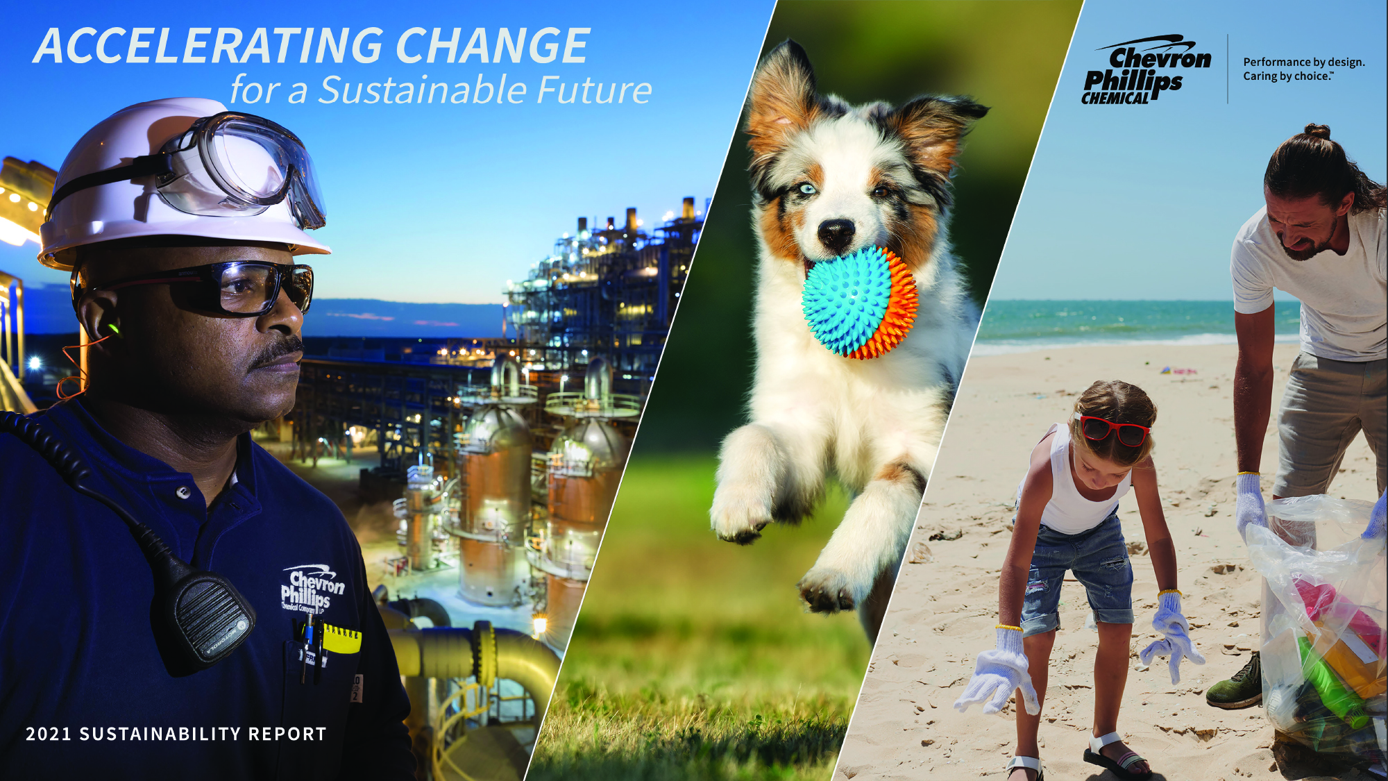 Accelerating Change